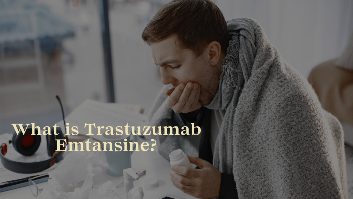 HER2-Positive Breast Cancer Trastuzumab Emtansine